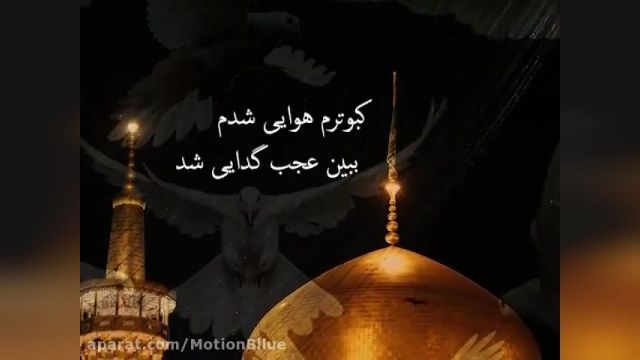 نماهنگ زیبا از عبدالرضا هلالی و حامد زمانی "کبوترم هوایی شده"