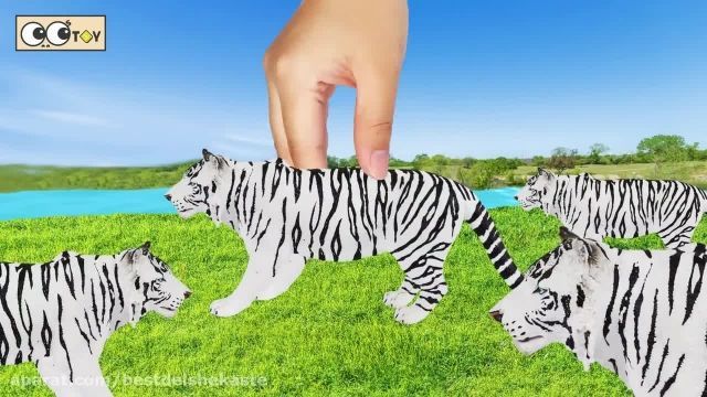 دانلود انیمیشن حیوانات کودکانه( بدون سانسور و دوبله شده )
