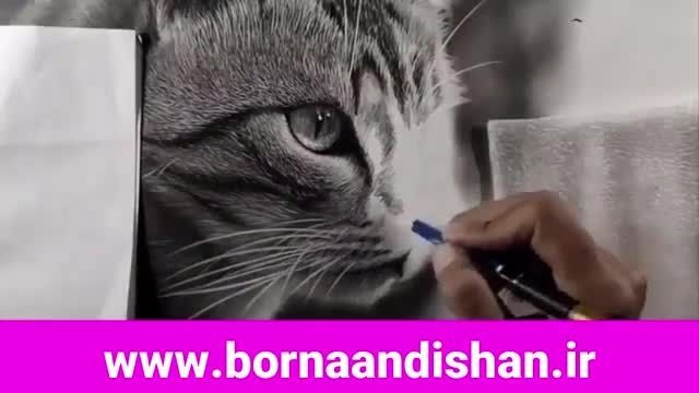 دانلود ویدیو  آموزش کامل نقاشی سیاه قلم حیوانات