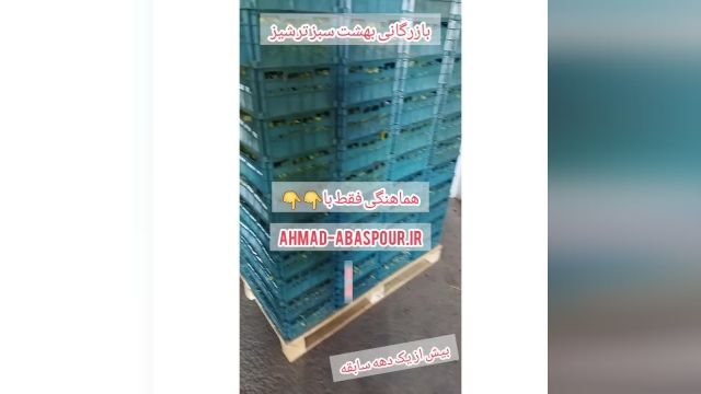 خرید انگور صادراتی کاشمر بی دانه پیکامی 09151212196