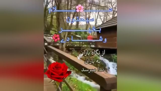 کلیپ صبح بخیر بارانی + از نگاه یاران به یاران ندا میرسد 