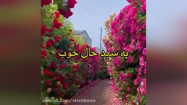 دانلود کلیپ صبح بخیر شاد || یه سبد حال خوب 