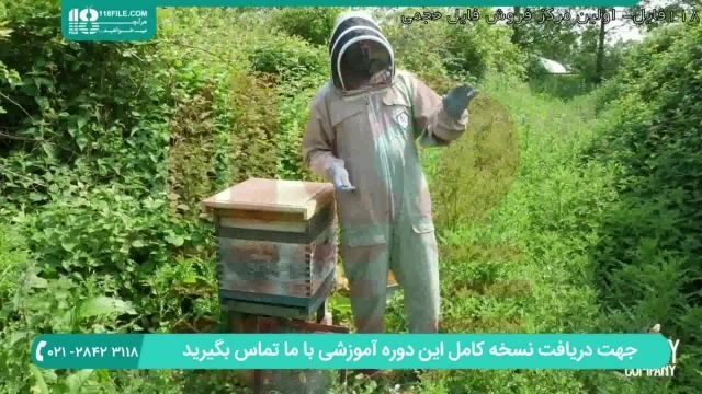 آموزش زنبورداری - تعویض شانه خارجی