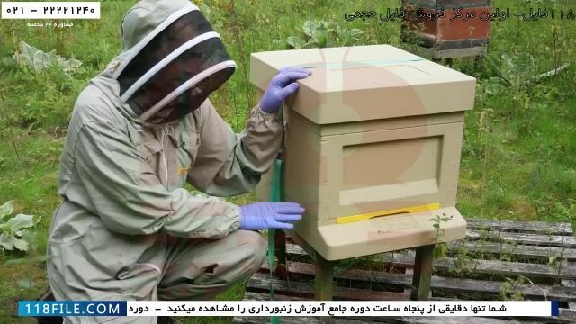 آموزش حرفه ای زنبورداری-پرورش زنبور عسل-زنبورداری صنعتی-انتقال کندوچه