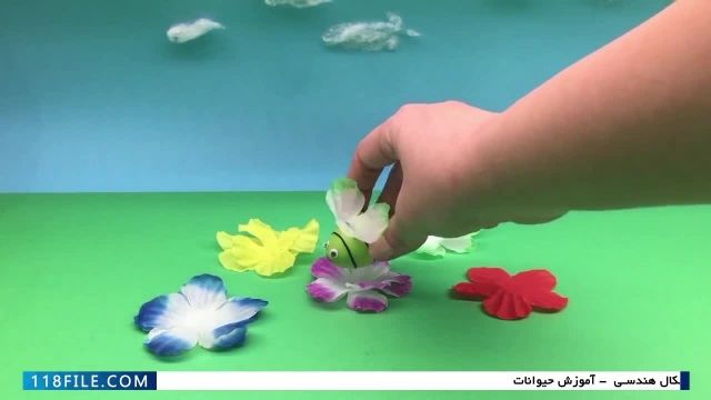 آموزش الفبای فارسی اول-آموزش رنگ ها با زنبورها-آموزش زبان فارسی و انگلیسی