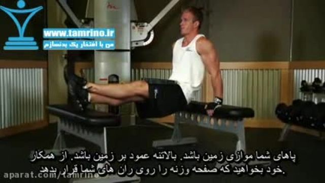 آموزش صحیح حرکت دیپ نیمکت با وزنه Weighted Bench Dip