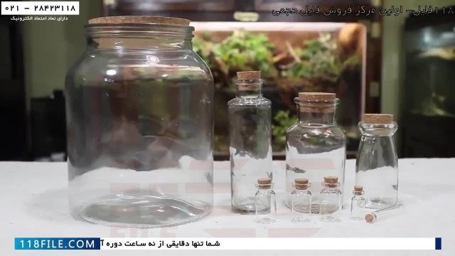 آموزش ساخت تراریوم - آسان ترین آموزش ساخت تراریوم -قراردادن تراریوم