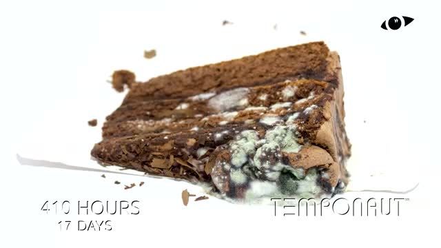 تایم لپس جالب از کیک شکلاتی با کیفیت بالا !