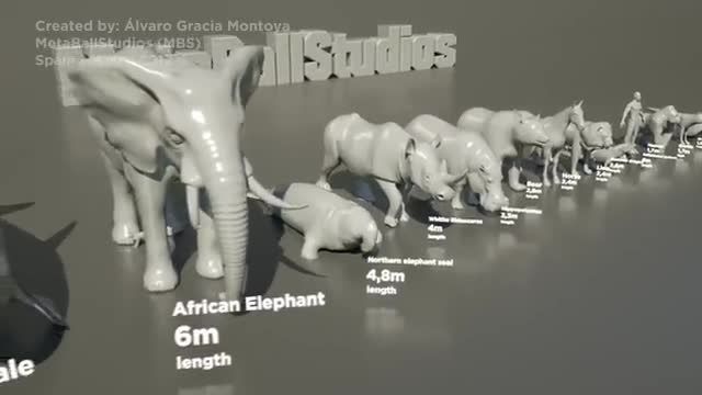 دانلود ویدیو ای از مقایسه سایز جانوران مختلف