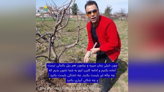 بهترین روش ابیاری باغات که باید بدانید !