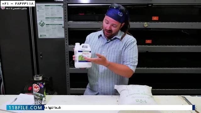 آموزش کشت علوفه هیدروپونیک -پرورش گوجه فرنگی در سیستم غرقابی