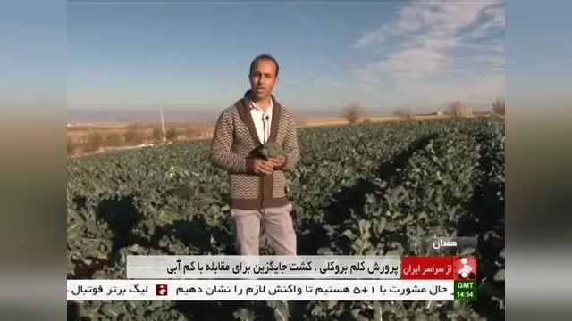 آموزش کشت سبزیجات و کلم بروکلی در استان همدان