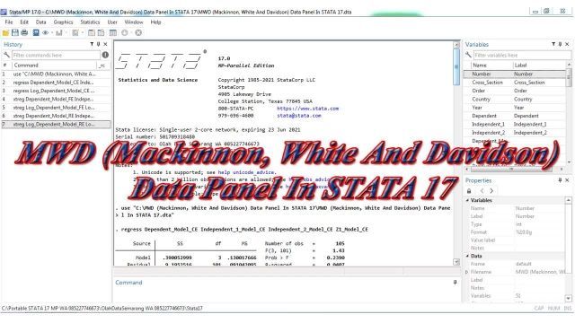 MWD (Mackinnon, White And Davidson) Test Data Panel In STATA 17