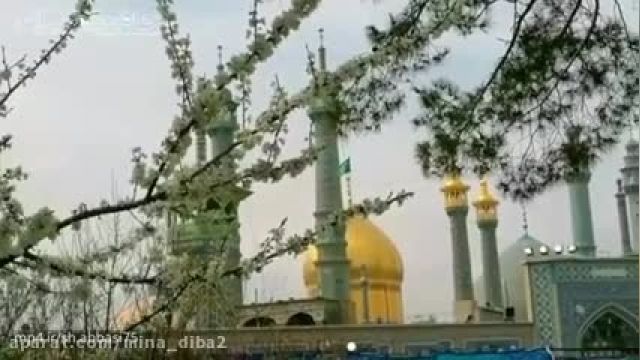 تا بهار دلنشین - کلیپ تبریک عید