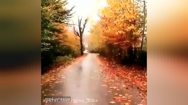 دانلود کلیپ وضعیت واتساپ ~ (فصل پاییز - ویدیو جالب و باحال) 