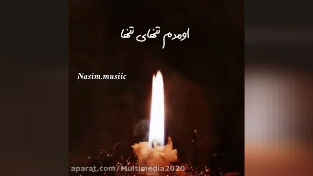 استوری شب قدر و شهادت حضرت علی علیه السلام