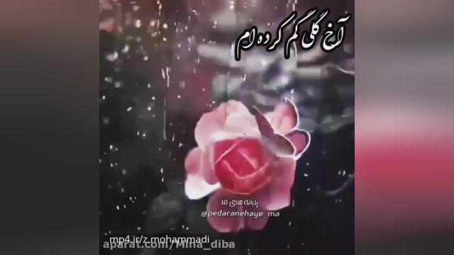 کلیپ شب جمعه و یاد اموات برای استوری و وضعیت واتساپ