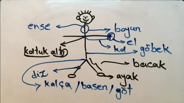 آموزش رایگان ترکی استانبولی از مبتدی تا پیشرفته قسمت 25