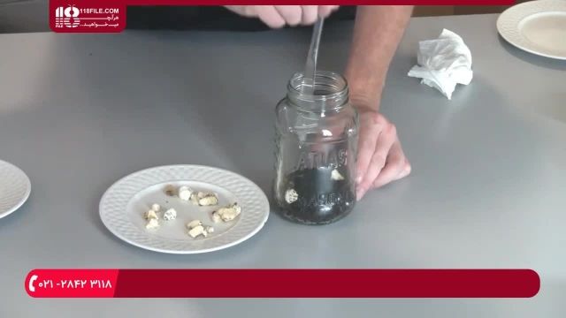 پرورش قارچ - Part 1 نحوه پرورش آسان و ارزان قارچ های صدفی با استفاده از قهوه