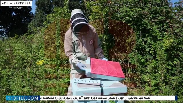 آموزش پرورش زنبور عسل - پیوند ملکه زنبورعسل - استفاده از تله ی گرده
