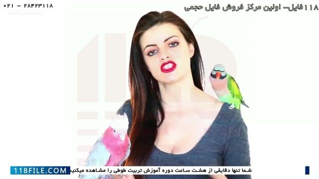 آموزش تربیت طوطی در ایران-چگونگی نگهداری طوطی های بیشتر