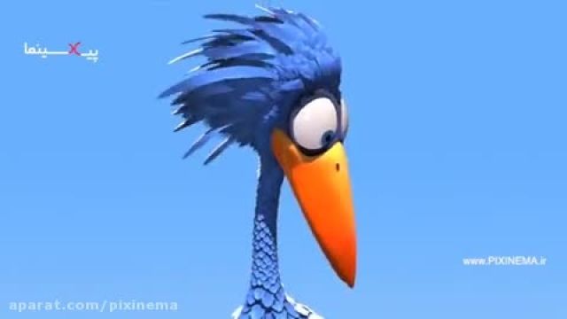 دانلود انیمیشن کوتاه برای پرندگان