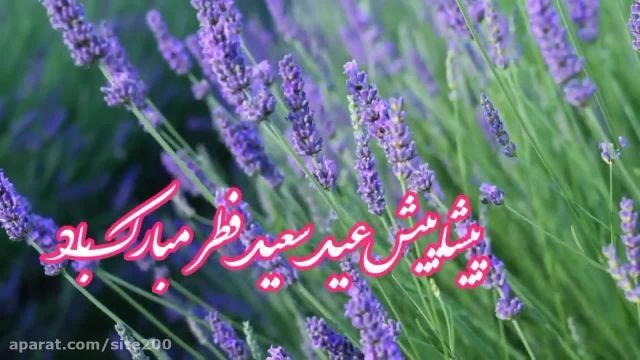 کلیپ شاد و زیبای تبریک عید سعید فطر