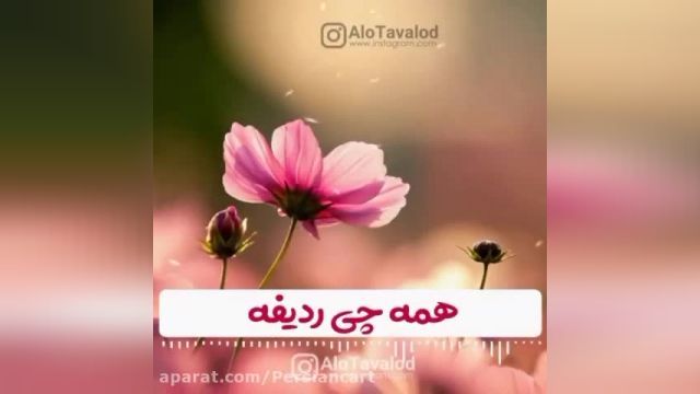 تبریک تولد 3 اردیبهشت ماه + جملات دوست داشتنی برای وضعیت واتساپ