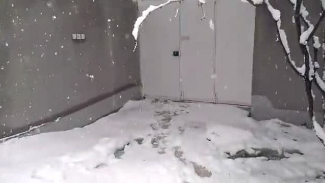 کلیپی از برف زمستان 1400 روستای طارق 1400