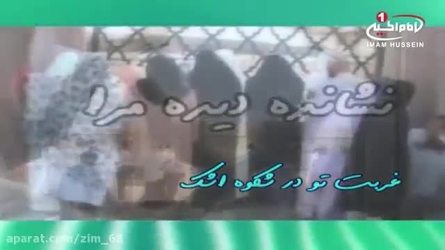 کلیپ مولودی میلاد امام حسن مجتبی ( ای گل زهرا )