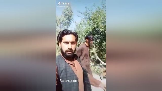 مجازات عجیب یک سارق گاو توسط طالبان | فیلم