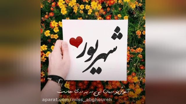 کلیپ دکلمه تبریک تولد شهریور ماهی برای وضعیت