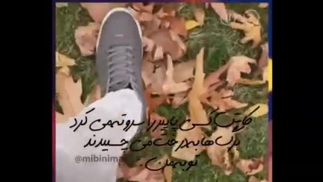 کلیپی از قدم زدن روی برگ های پاییزی با متن زیبا