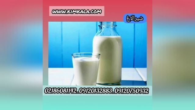 فروش شیر حلال الاغ/09120750932/قیمت شیر الاغ