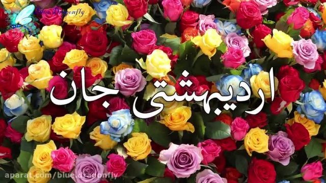 دانلود کلیپ تبریک تولد اردیبهشتی مخصوص" تولدت مبارک عاشقانه "