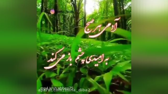 کلیپ عاشقانه صبح بخیر عشقم برای استوری