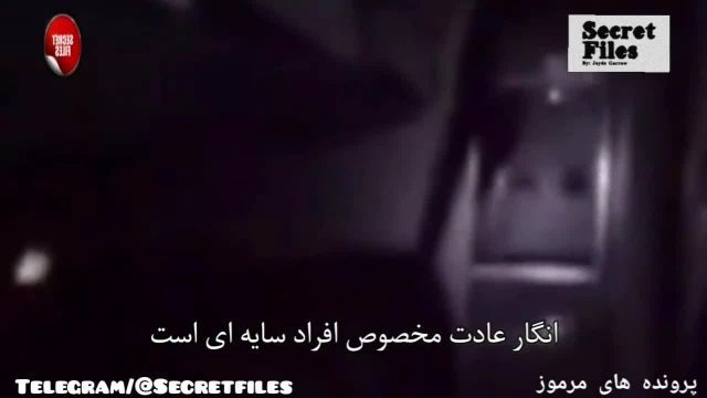ویدیوی واقعی ترسناک فرار نگهبان وحشتزده از دیدن جن در هواپیما (شکار دوربین 65)