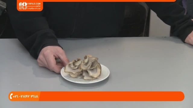 آموزش  پرورش قارچ صدفی با استفاده از قهوه 
