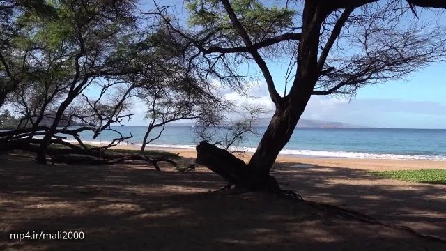 کلیپ بسیار زیبا و دیدنی از جزیره مائویی در هاوایی !