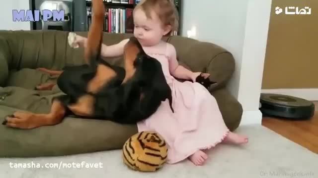 کلیپ بسیار بامزه رفتار کودکان با سگ های خونگی !