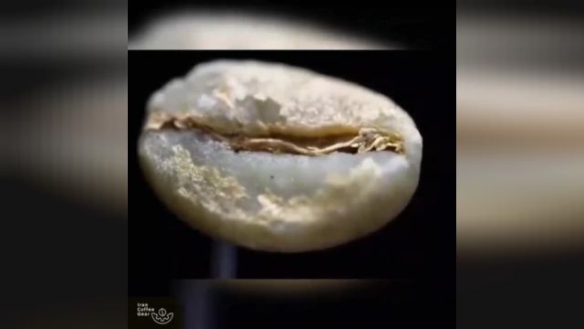 ویدیو تغییر شکل دانه قهوه در زمان رُست (برشته کردن قهوه)