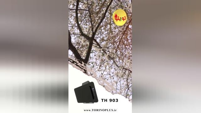 هود 903 تورینوپلاس