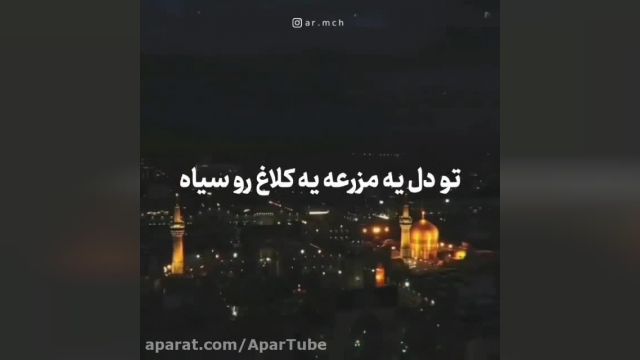 ضامن اهو یا امام رضا، باب الجواد…