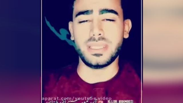 کلیپ زیبای لری بختیاری - آهنگ شاد و جنجالی از سعید محمدی