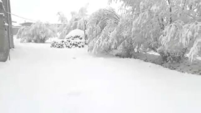 بارش برف بهاری در روستای خلف انصار ورزقان 23 اردیبهشت 1401