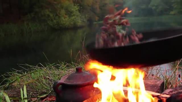 آشپزی در جنگل