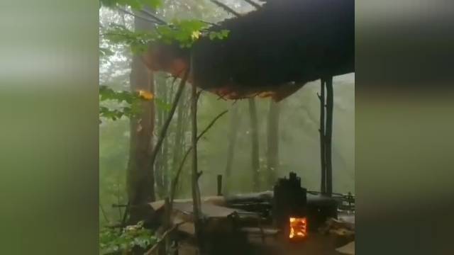 کلیپ روز بارانی - جنگل زیبای بارانی 