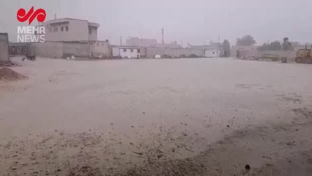 بارش شدید باران در شهرستان دیر زمین‌های کشاورزی را سیراب کرد | فیلم