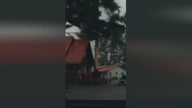 فیلم برخورد صاعقه با یک درخت چندین ساله که نابود شد | ببینید 