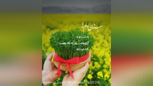 کلیپ شاد و عاشقانه تبریک سیزده بدر برای وضعیت واتساپ و واستوری اینستا 